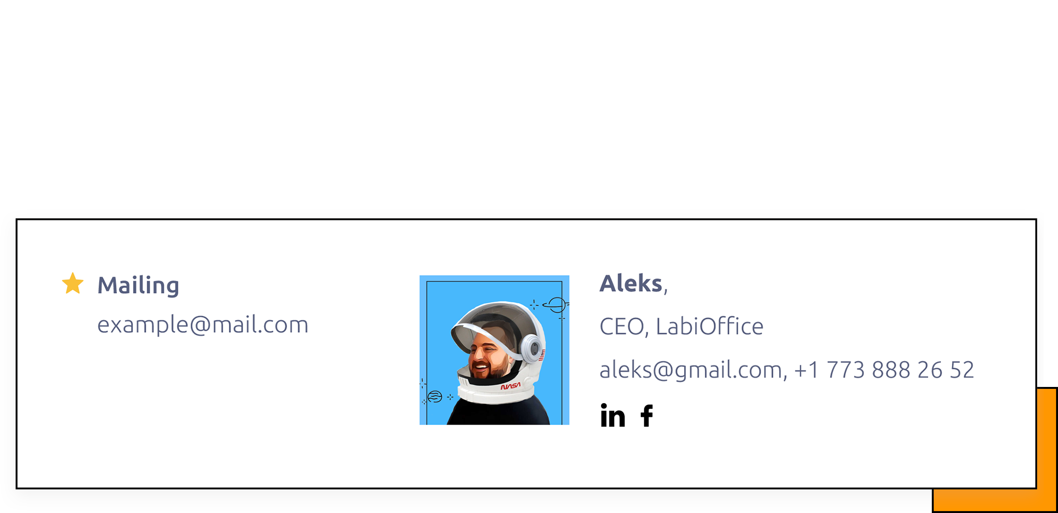Custom Email Signature For your Team
